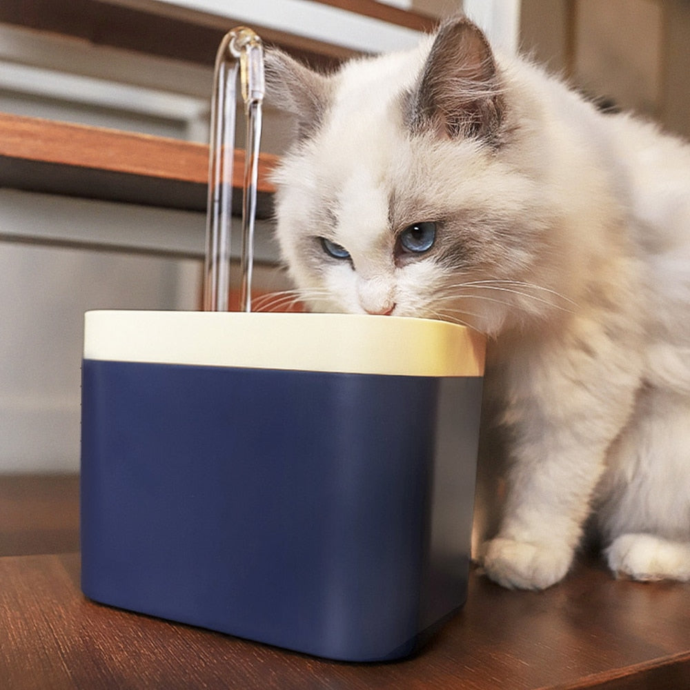 Zen Water Fountain