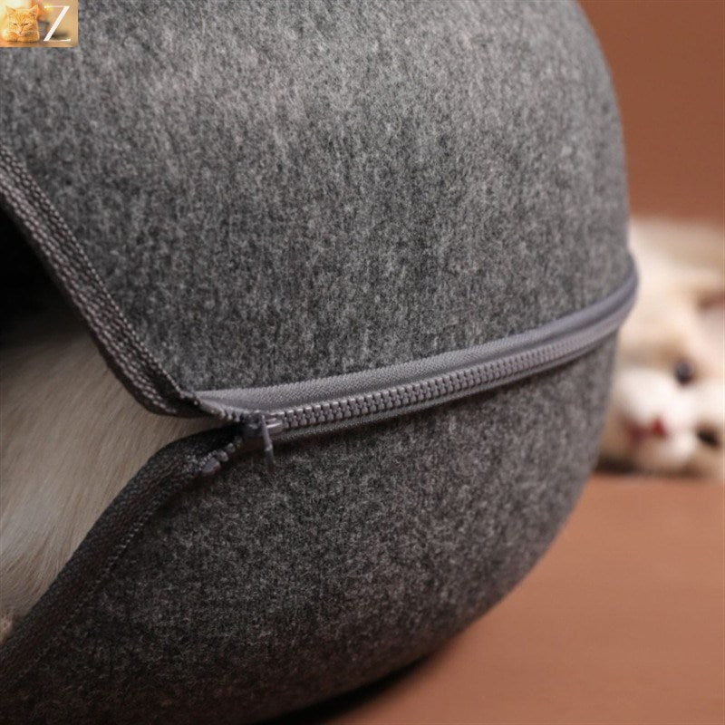 Zen Cat Donut Tunnel